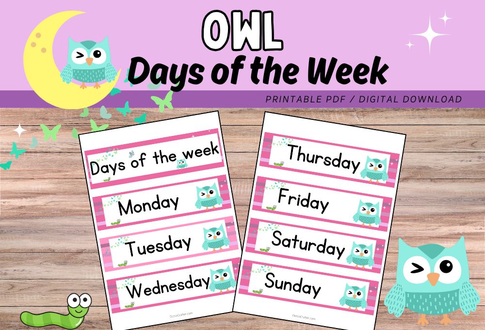 Owl theme Days of the Week classroom posters